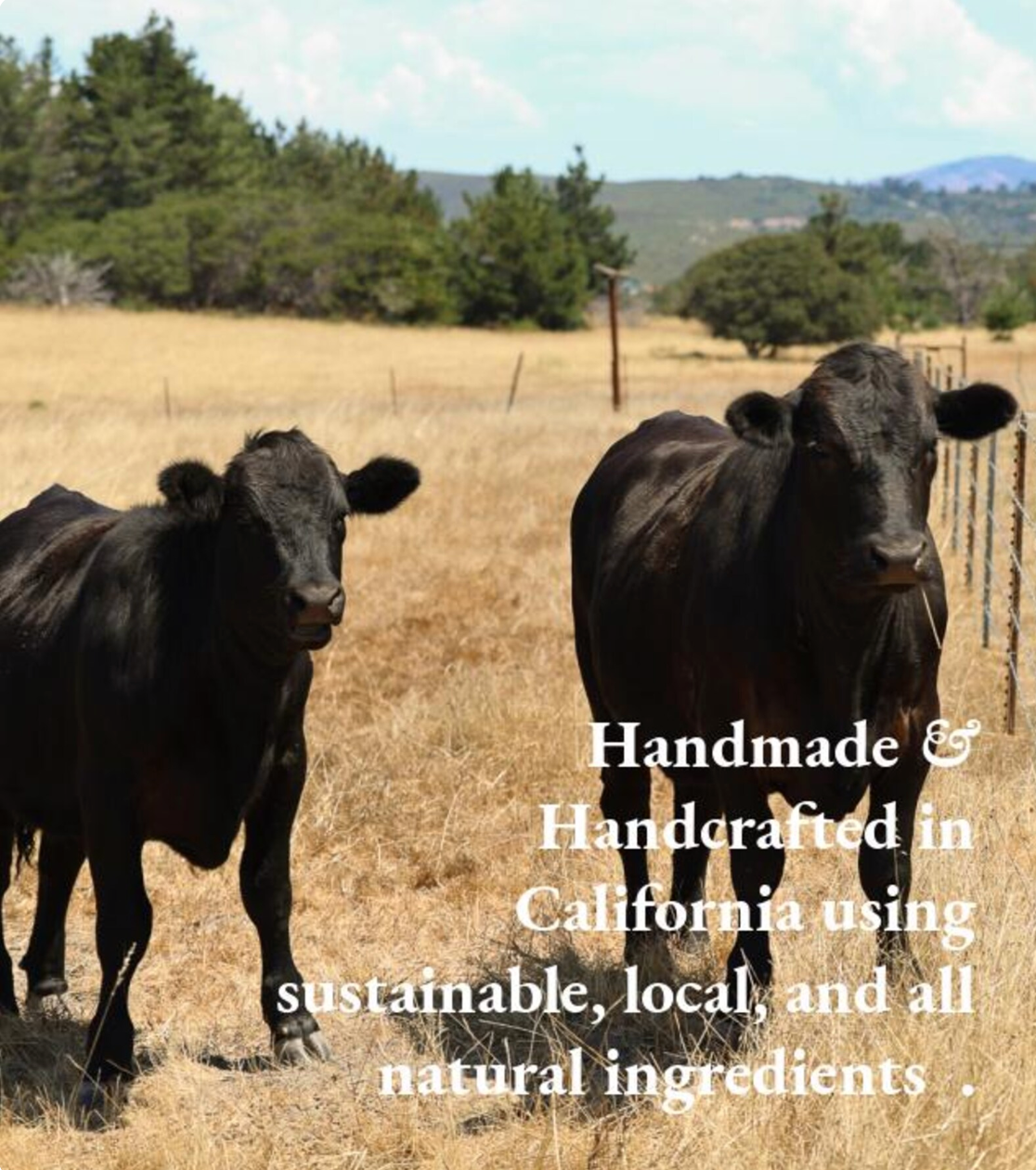 Whipped Tallow Body Butter | Natural Moisturizer for Dry Skin – Grass-Fed Tallow Balm in Amber Jar (4 oz)