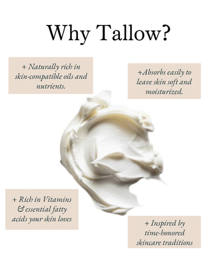 Whipped Tallow Body Butter | Natural Moisturizer for Dry Skin – Grass-Fed Tallow Balm in Amber Jar (2 oz)